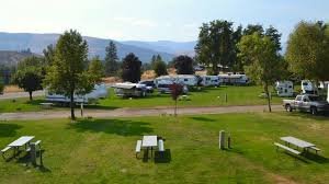 Rv Parks With No Breed Restrictions Enjoy Pet-Friendly Travels